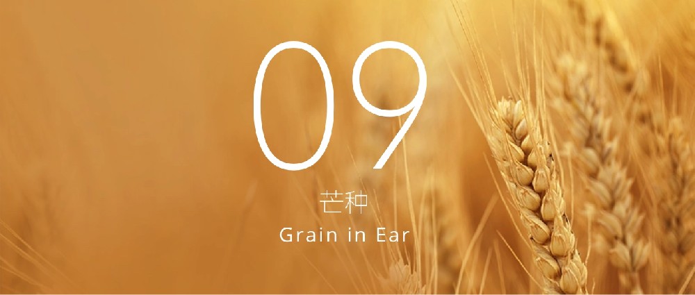 芒种｜颐居生态融五恒系统，与您一同迎接仲夏芬芳