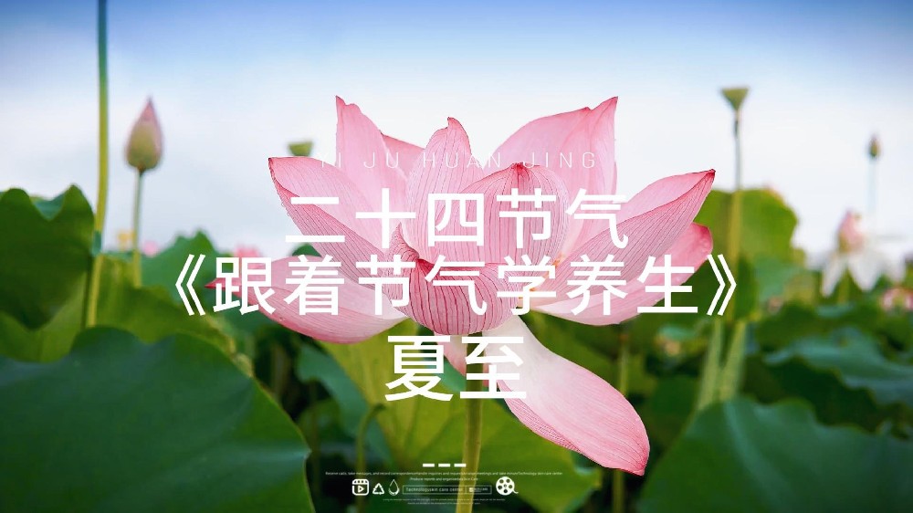 夏至｜颐居生态融五恒系统，为您打造净洁清爽的一方天地夏至