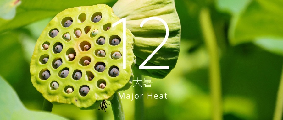 大暑｜日盛三伏，颐居生态融五恒系统为您安守盛夏
