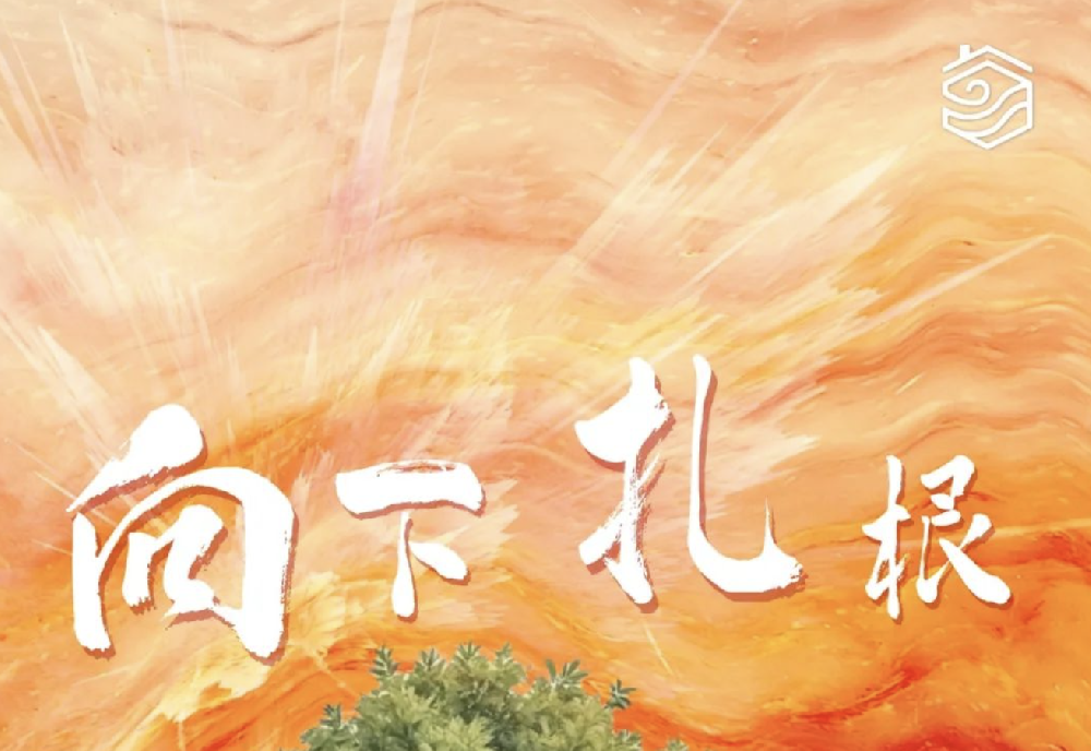 《颐居环境回顾2024｜向下扎根，才能向上生长》